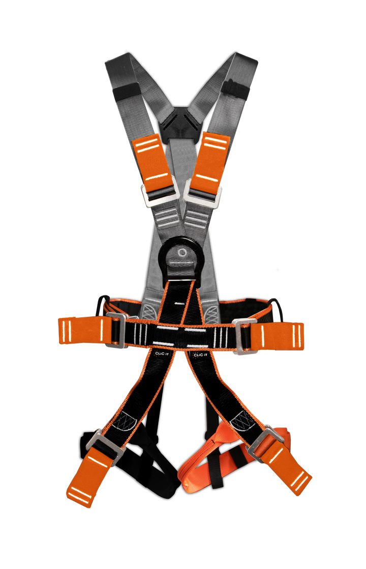 C-BODY HARNESS